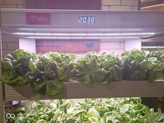 -7fresh七鲜(大族广场店)