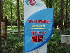 -东平国家森林公园