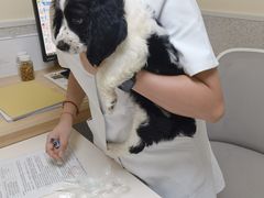-谐和贝康宠物医院24小时·宠保定点(急重症转诊中心)