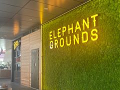 -大象园ELEPHANT GROUNDS(万象天地店)