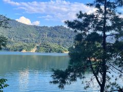 -广州市流溪河国家森林公园