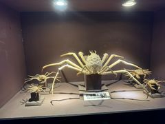 -皇家极地海洋世界-售票处