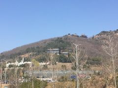 -石老人观光园