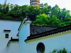 -深圳国际园林花卉博览园