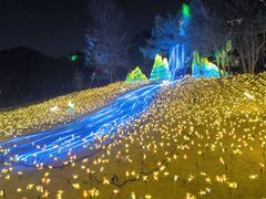 -洛阳市隋唐城遗址植物园