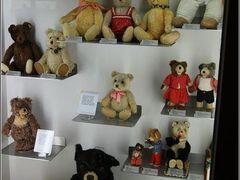 -济州岛泰迪熊博物馆