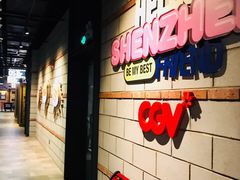 -CGV影城(壹方城IMAX店)
