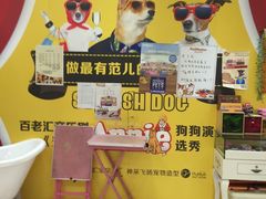 -神采飞扬宠物美容(香港路店)