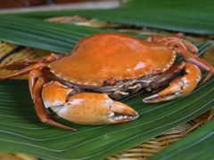 -大东海海鲜酒楼(渔人码头总店)