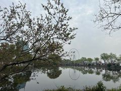 -无锡蠡湖国家湿地公园-蠡园