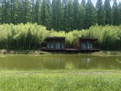 -黄海国家森林公园