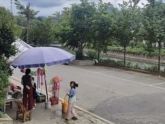 -绿林山庄土菜馆