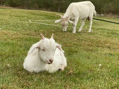 -亿利库布其七星湖沙漠生态旅游区