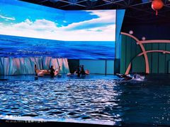 -海合安青岛极地海洋公园