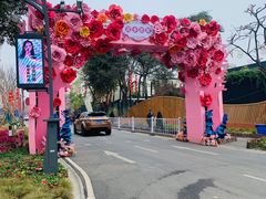 -三圣花乡旅游区