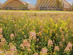 -中国天府农业博览园