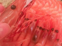 北极甜虾刺身-高木日本料理(静安寺店)