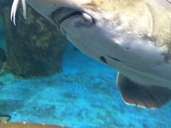 -多彩贵州城极地海洋世界