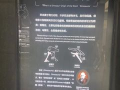-中国西峡恐龙遗迹园