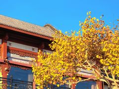 -楼外楼(西湖景区孤山路店)