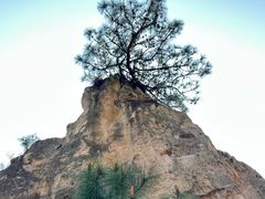 -彩色沙林风景区