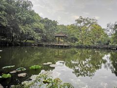 -浙江西子宾馆·牡丹厅