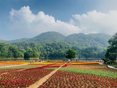 -广州市石门国家森林公园