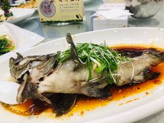 清蒸老虎斑-大东海海鲜酒楼(渔人码头总店)