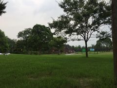 -崇明东平国家森林公园烧烤房车露营地