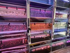 -华声天桥民俗文化园