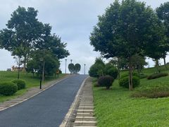 -东莞植物园