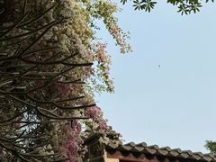 -深圳国际园林花卉博览园