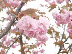 android_upload_pic-穹窿山景区