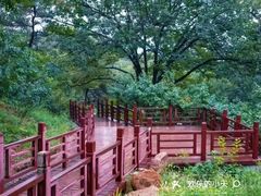 -北京西山国家森林公园