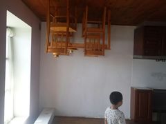 -金山农民画村-枫泾波兰倒置屋