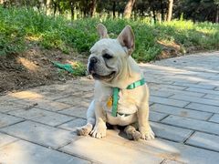 -乖乖宠物医院·猫科·骨科·24小时(云岗分院)