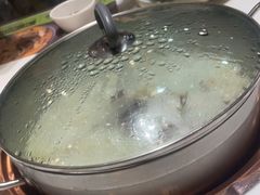-洪氏嗨捞·猪肚鸡火锅(阳光天地店)