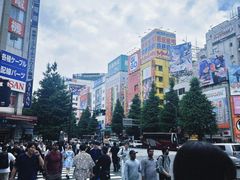 -秋叶原电器街