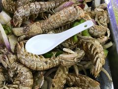 -赵氏老北京涮羊肉羊蝎子(蓝村店)