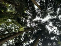 -青城山