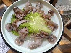 墨鱼-二荆条·蜀鲜汇城市森林火锅