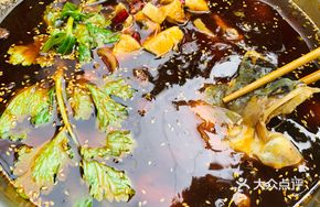 Bamboo Catfish