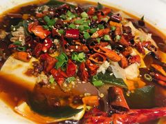蜀一毛血旺-YUOZUO渝作·川渝冒肚(崂山店)