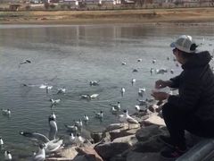 -青海湖国家重点风景名胜区