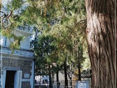 -北京鹫峰国家森林公园