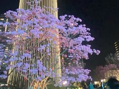 -深圳湾万象城(南山店)