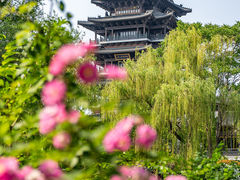 -济南大明湖景区