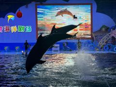 -蓬莱欧乐堡海洋极地世界