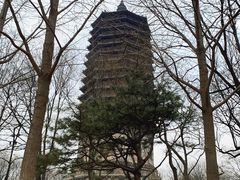 -玲珑塔公园