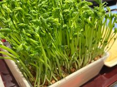 -洞子口重庆鲜货火锅(楚翘城旗舰店)